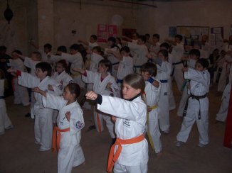 foto_exhi_estribo_2g