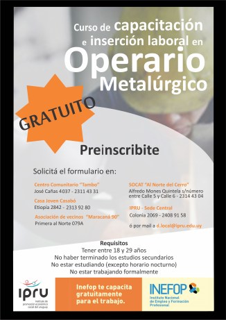 inefop afiche 2013 (1)