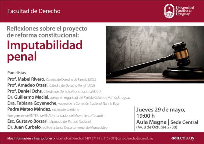 imputabilidad Ucudal mayo2014